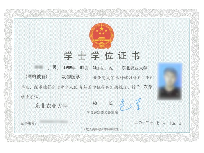 東北農(nóng)大專升本有什么專業(yè)可以報