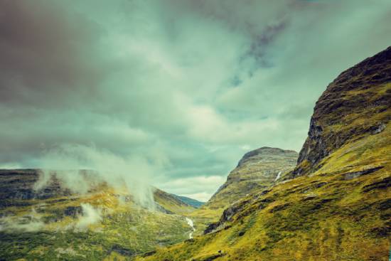 東北農(nóng)業(yè)大學(xué)對(duì)專(zhuān)升本網(wǎng)絡(luò)教育畢業(yè)證學(xué)位證獲取是怎樣的規(guī)定的？