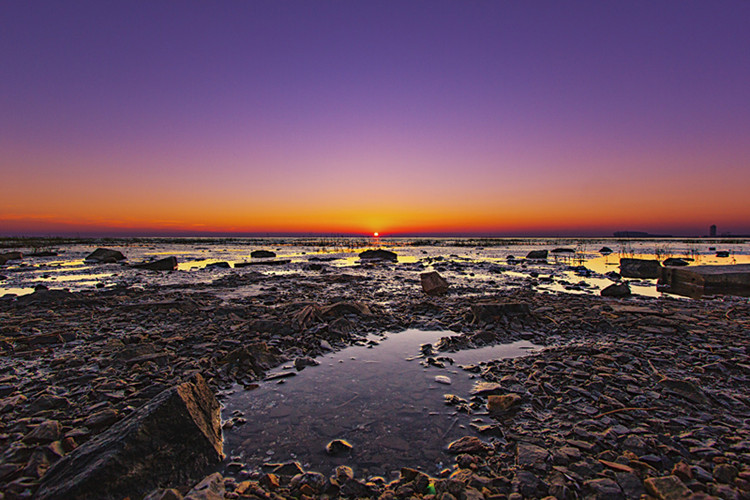 營(yíng)口專升本培訓(xùn)機(jī)構(gòu)有哪些？