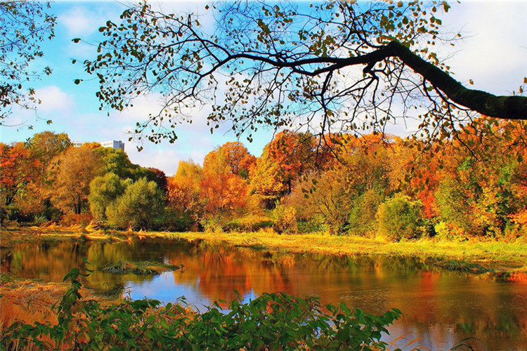 臺州學歷提升要多久時間？