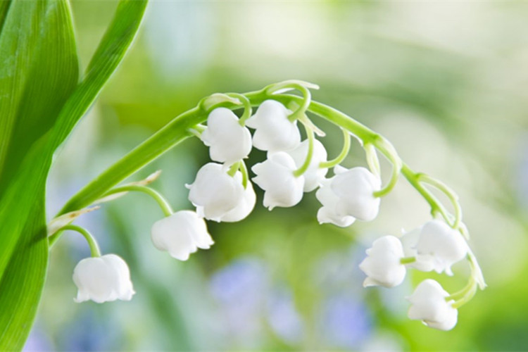 珠海專升本考試科目有多少門？有哪些？