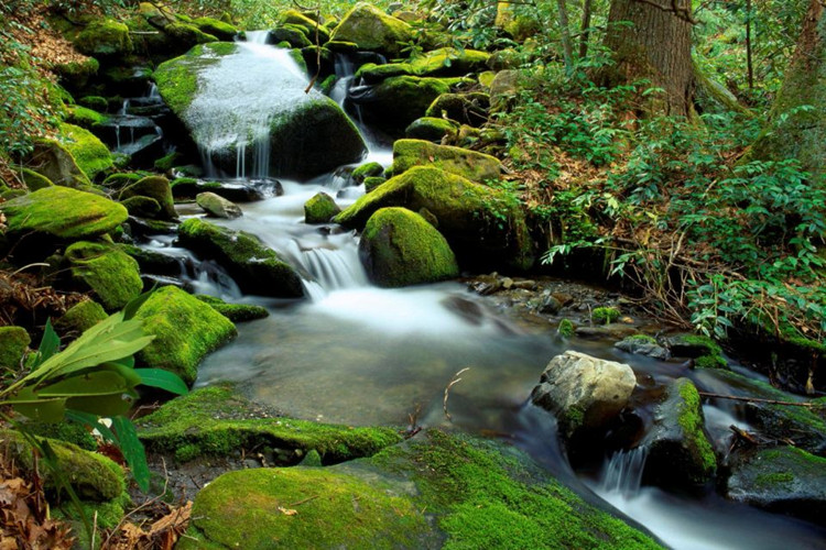 專升本英語專業(yè)報考哪個大學好？