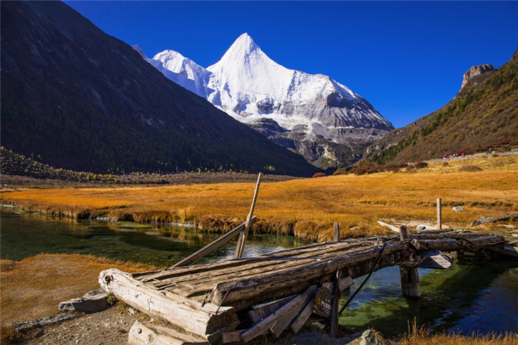江南大學(xué)可以專升本嗎？要什么報(bào)名條件？