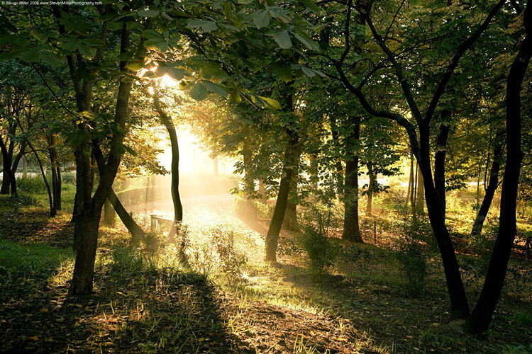 海口專升本的途徑有哪些？