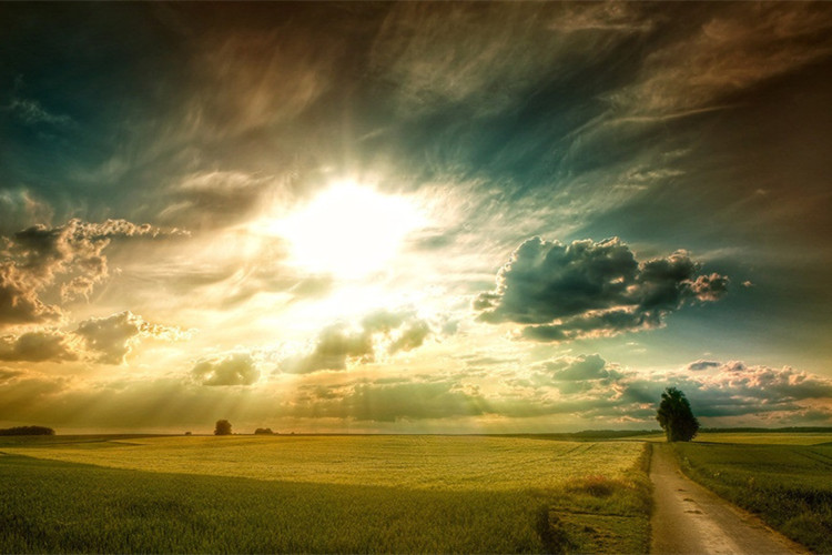 中山專升本如何報名？