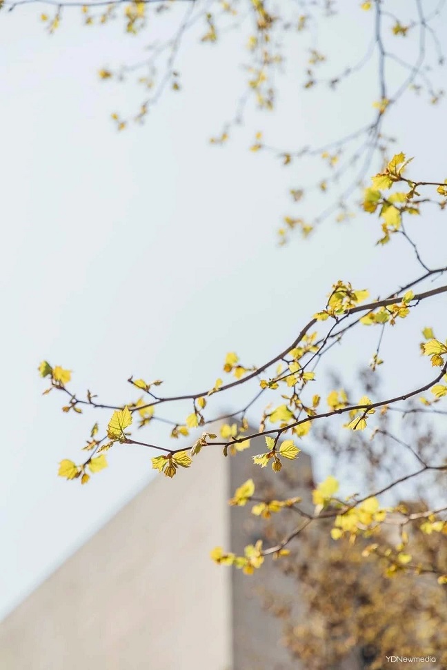 實(shí)不相瞞，我從未如此想開學(xué)