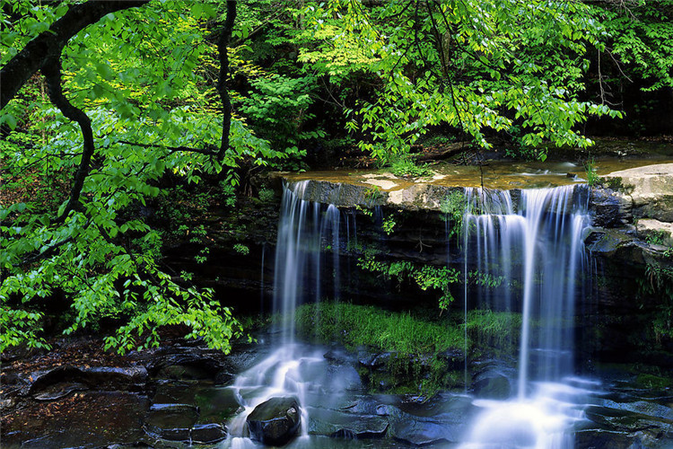南充成人快速提升學(xué)歷的方式有哪些？