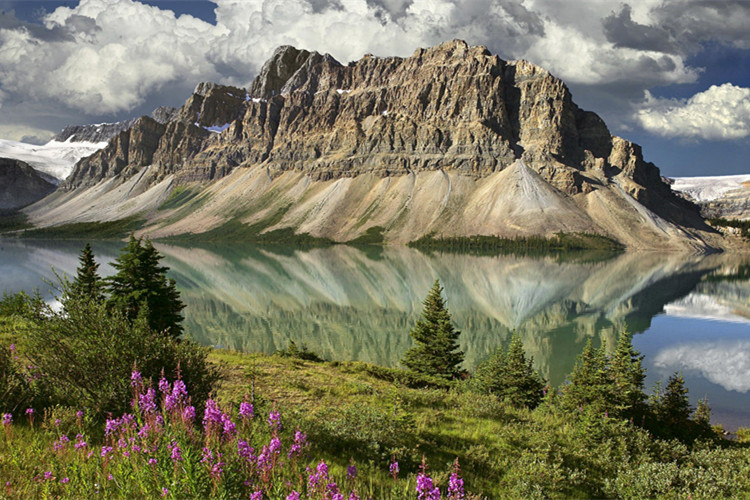 東營怎么快速升學(xué)歷？