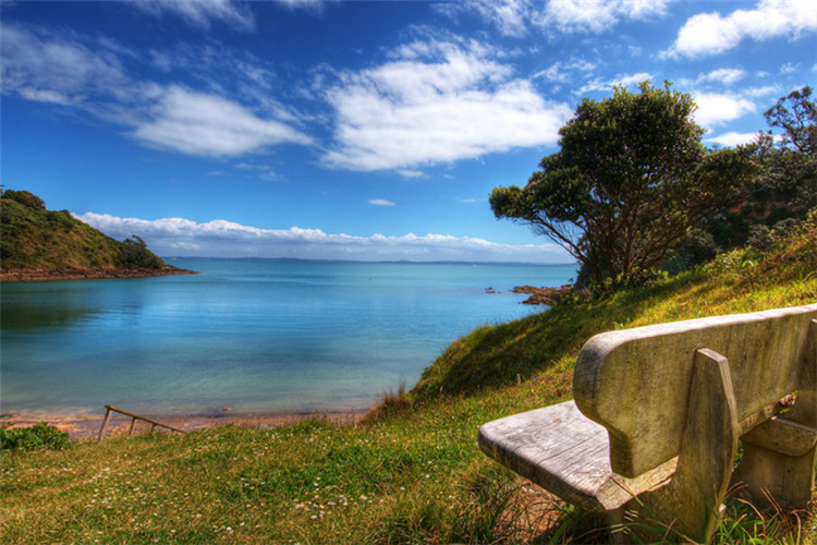 英語專業(yè)網絡教育?？粕究茖W校