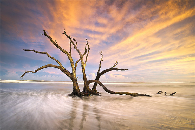 學(xué)前教育專(zhuān)科升本科網(wǎng)絡(luò)教育怎么樣？