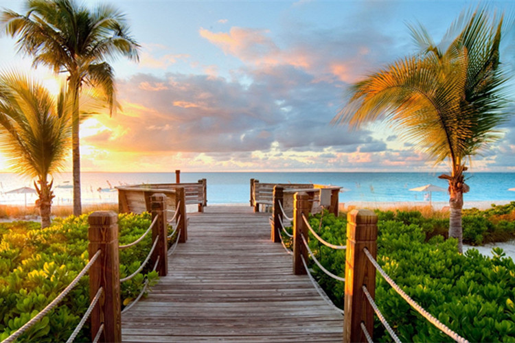 蚌埠成人專升本比較靠譜的機構(gòu)