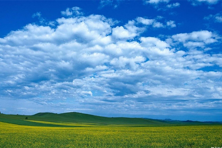 蚌埠專升本網(wǎng)上報名流程是什么？