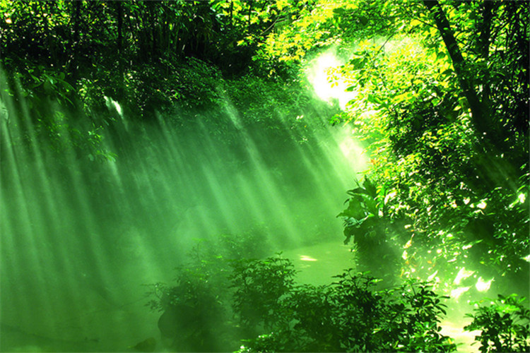 十堰學(xué)歷提升機構(gòu)哪家好？