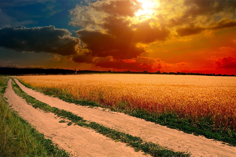 十堰提升學(xué)歷的學(xué)校有哪些?