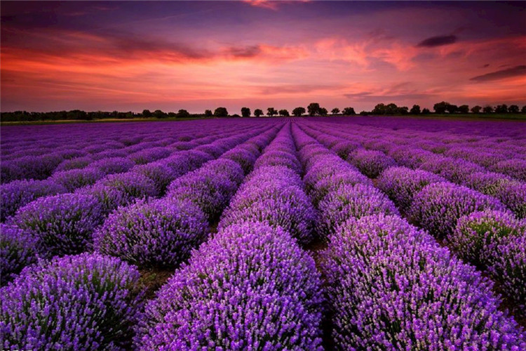 黃山專升本院校有哪些？