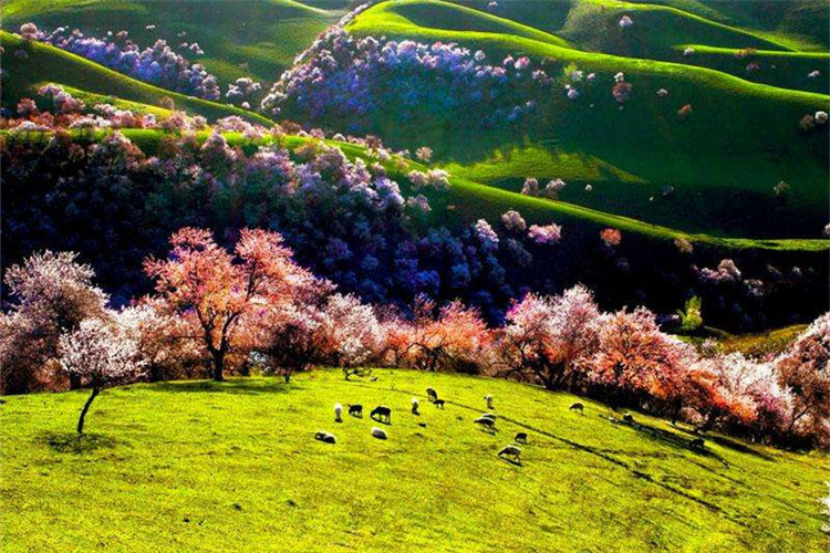 汕尾成人專升本院校有哪些？