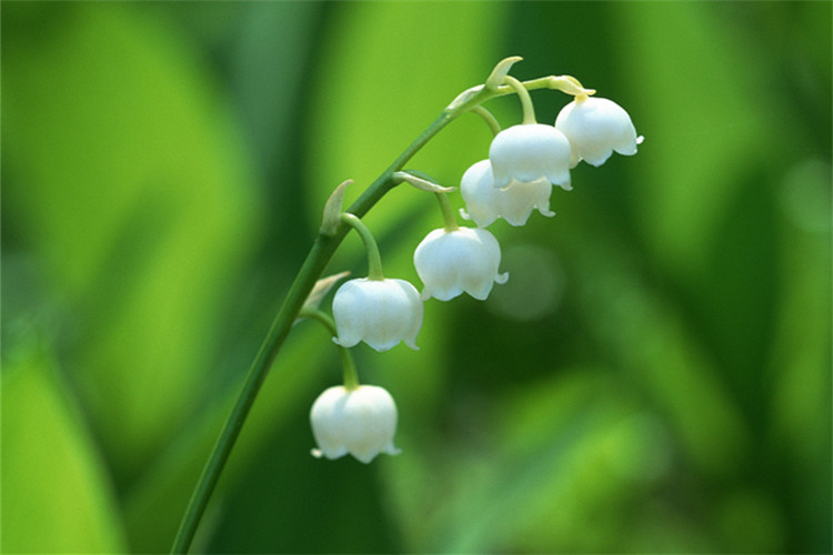 專升本土木工程考什么？