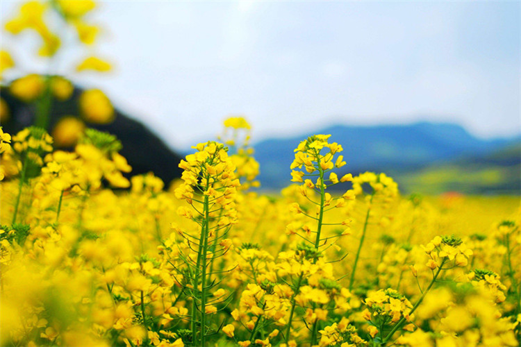 專升本土木工程專業(yè)怎么樣？
