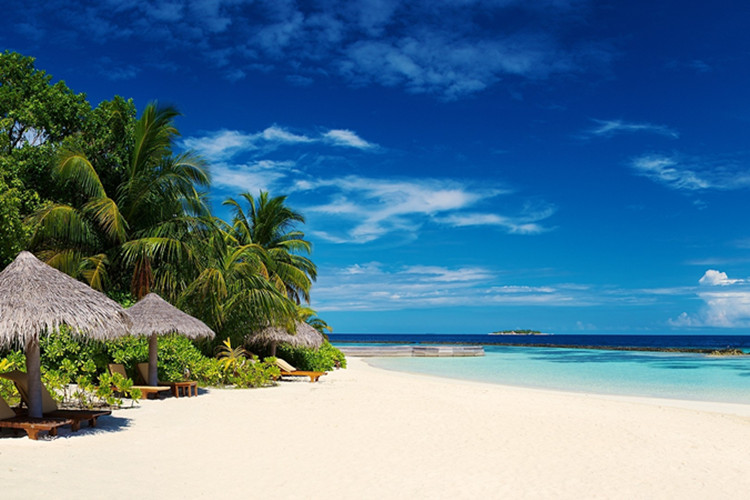 山東專升本土木工程可以報哪些學校？