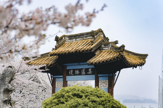 西南大學專升本報名截止時間是什么時候？