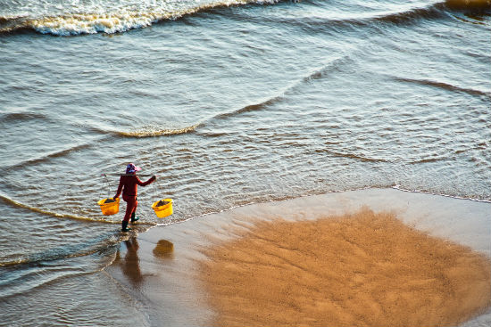東北農(nóng)業(yè)大學(xué)專升本科報(bào)考入學(xué)最晚時(shí)間是什么時(shí)候？