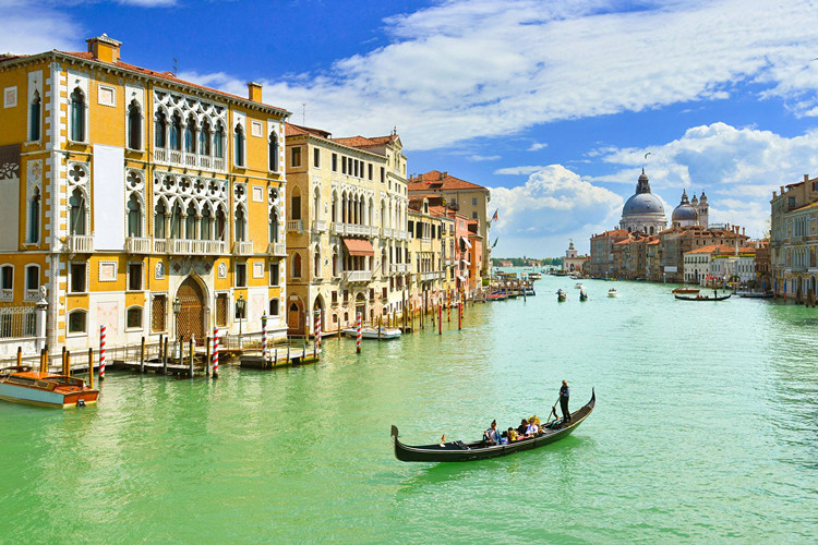 想報名北京中醫(yī)藥大學(xué)專升本的中藥學(xué)專業(yè)怎么樣？