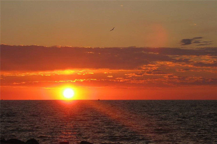 思想政治教育如何專升本？