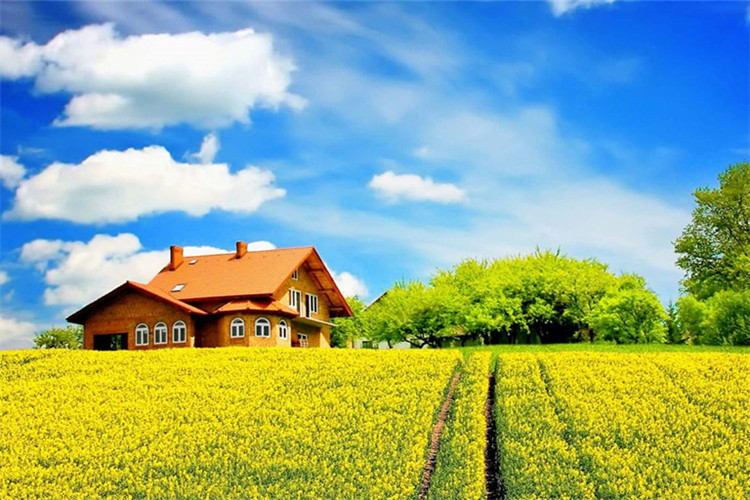 雅安專升本網(wǎng)上如何報(bào)名？