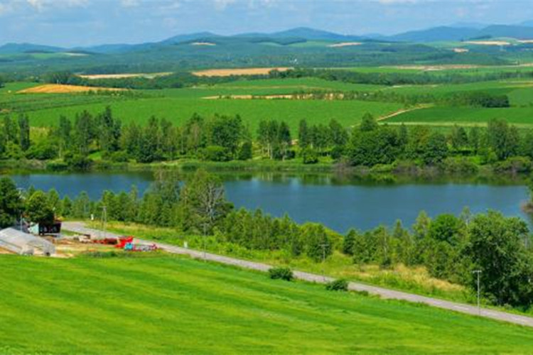 承德怎么報(bào)考專(zhuān)升本？