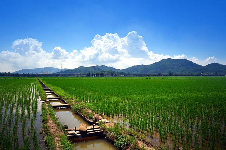 保山上班族怎么快速提升學歷？