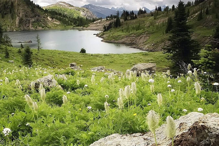 北京中醫(yī)藥大學(xué)網(wǎng)絡(luò)教育學(xué)費(fèi)要多少？