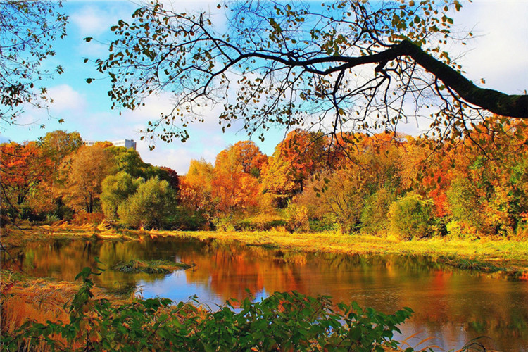 白城如何報(bào)考專(zhuān)升本的學(xué)歷提升？