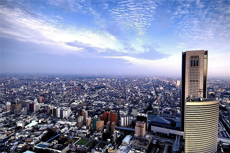 報(bào)考中藥學(xué)專升本要什么條件？