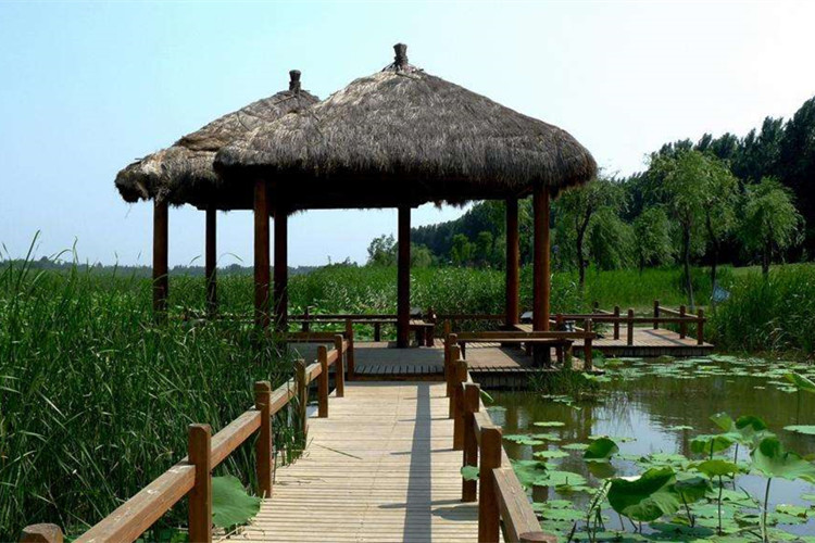 新余專升本院校有哪些？