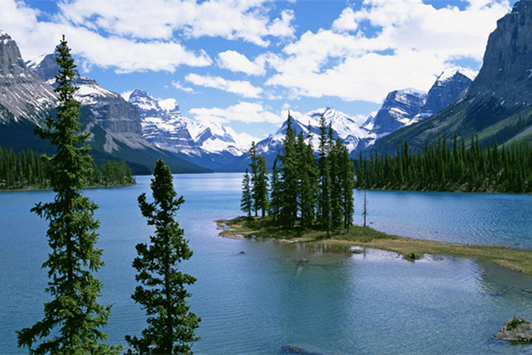 中衛(wèi)專升本能在網(wǎng)上報(bào)名嗎？怎么報(bào)？