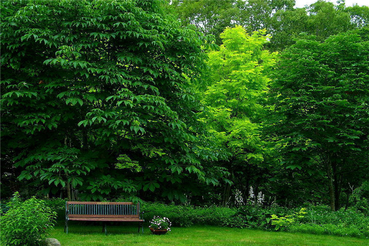 水利水電工程管理專業(yè)成人自考專升本難不難?