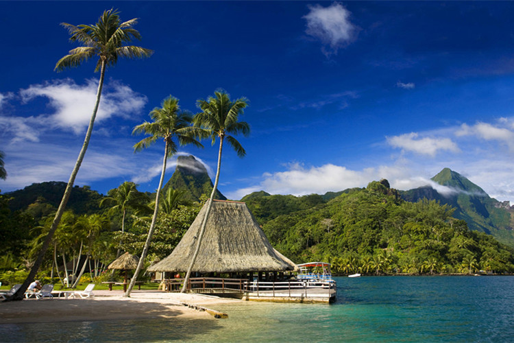 思想政治教育專業(yè)自考本科考什么科目?