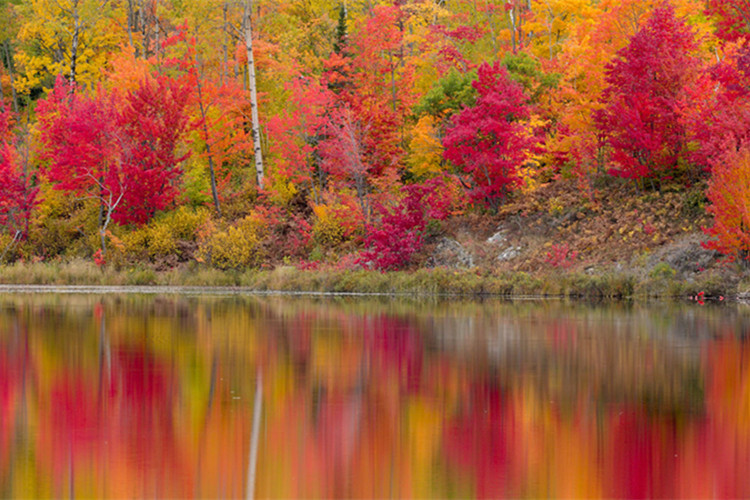 思想政治教育專升本院校有哪些？