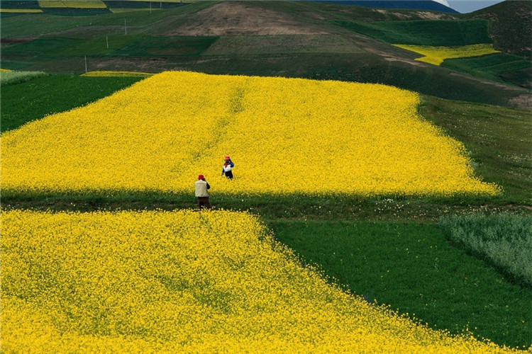 體育教育專業(yè)專升本有哪些院校？