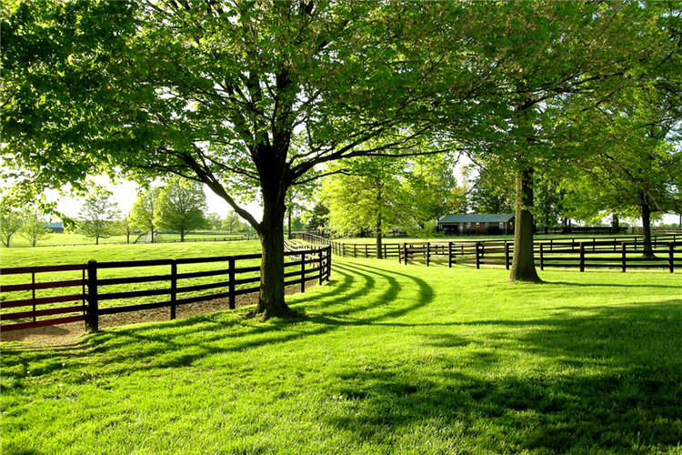 迪慶藏族自治州專(zhuān)升本院校有哪些？