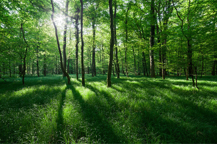 隴南上班族提升學(xué)歷的靠譜機(jī)構(gòu)有哪些？