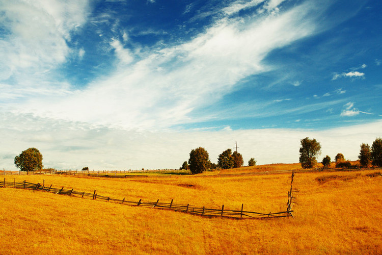 伊犁哈薩克自治州成人專科升本科有哪些學校可以報考？
