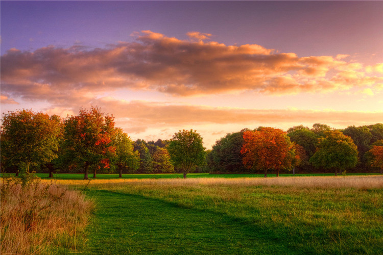 文化產(chǎn)業(yè)管理可以專升本的院校有哪些？