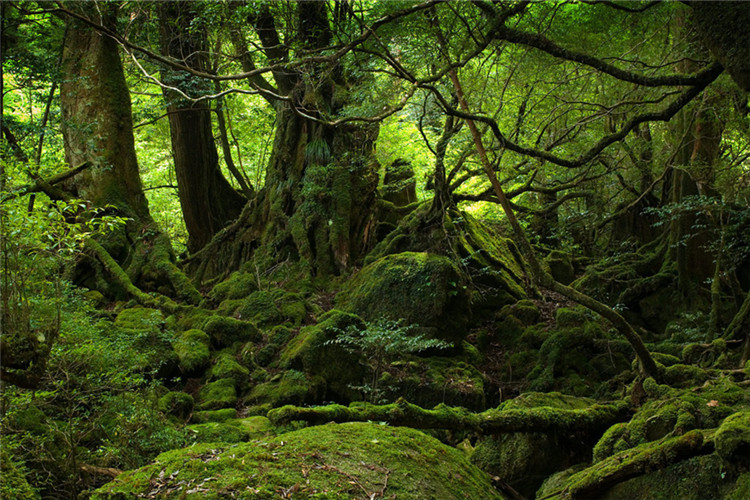 物理學(xué)自考專升本主要考哪些科目？好過嗎？