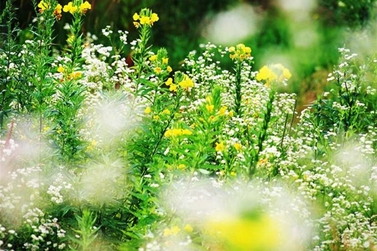 中國石油大學(xué)（北京）自考通過率高嗎？