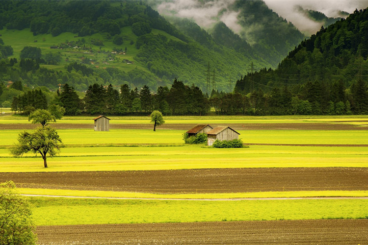 襄陽靠譜的學歷提升機構有哪些？