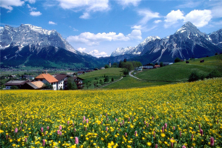 襄陽(yáng)專升本報(bào)名官網(wǎng)入口