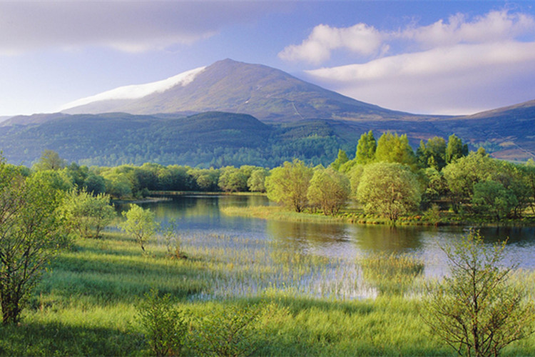 營(yíng)口學(xué)歷提升快速畢業(yè)的方式有哪些?