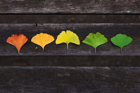 專升本備考，用行動來贏一個不怨不悔，你具備這幾條心態(tài)嗎？