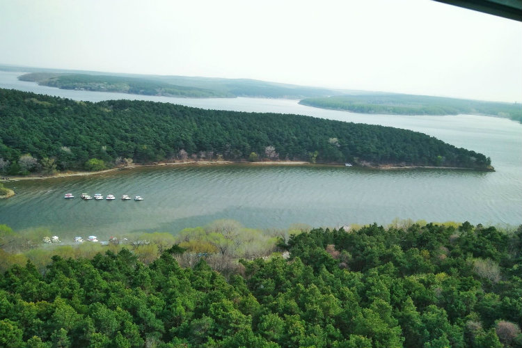 成考都考哪些科目？